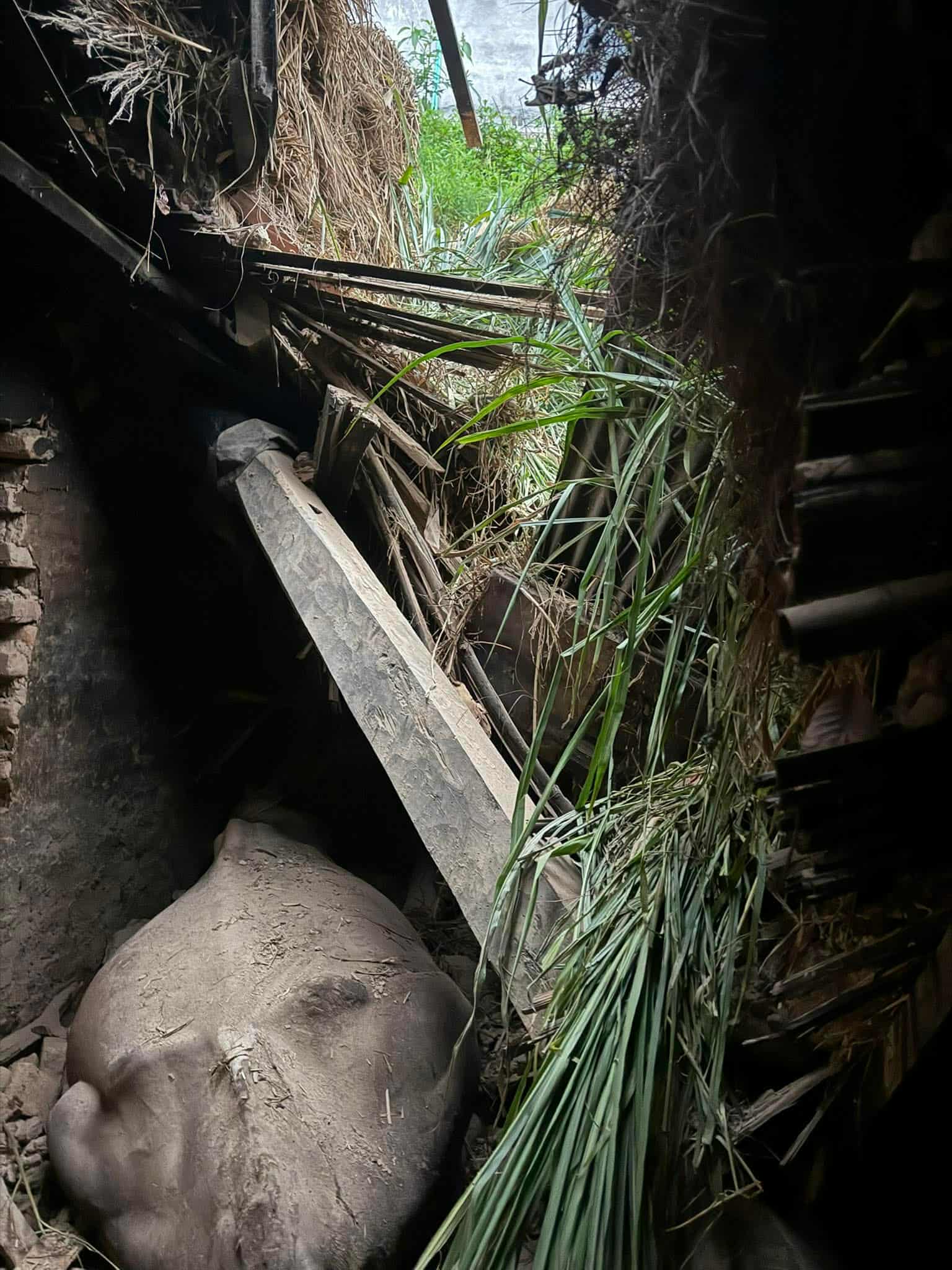 पहिरोका कारण घरगोठमा क्षति