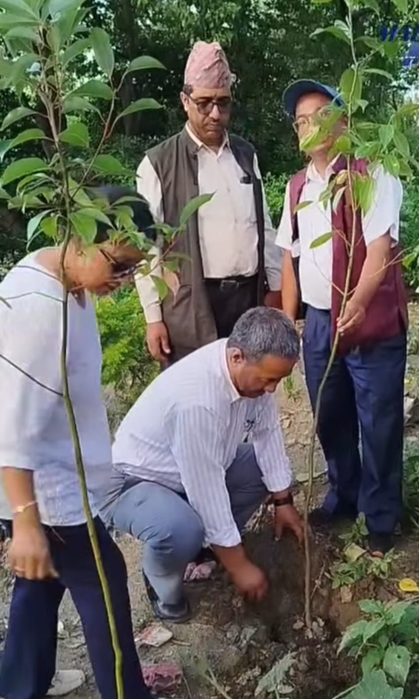 बाेदेमा हरियाली र साैन्दर्यकरण अभियान शुभारम्भ