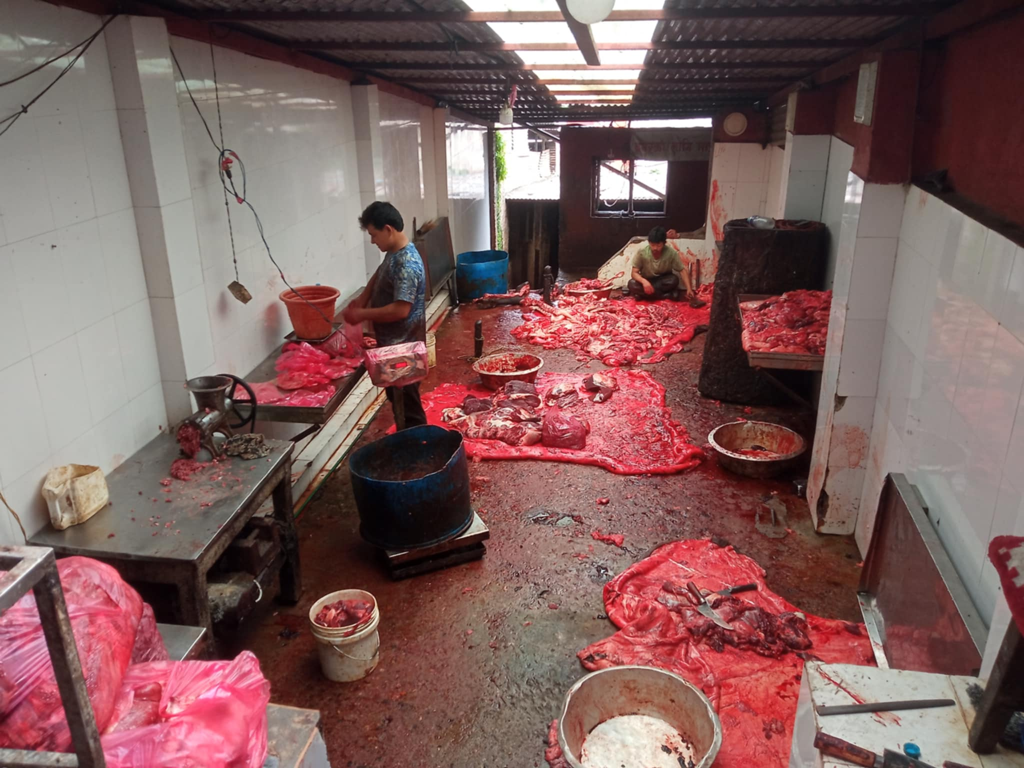 सल्लाघारीमा खाद्य पसल र मासु पसल अनुगमन