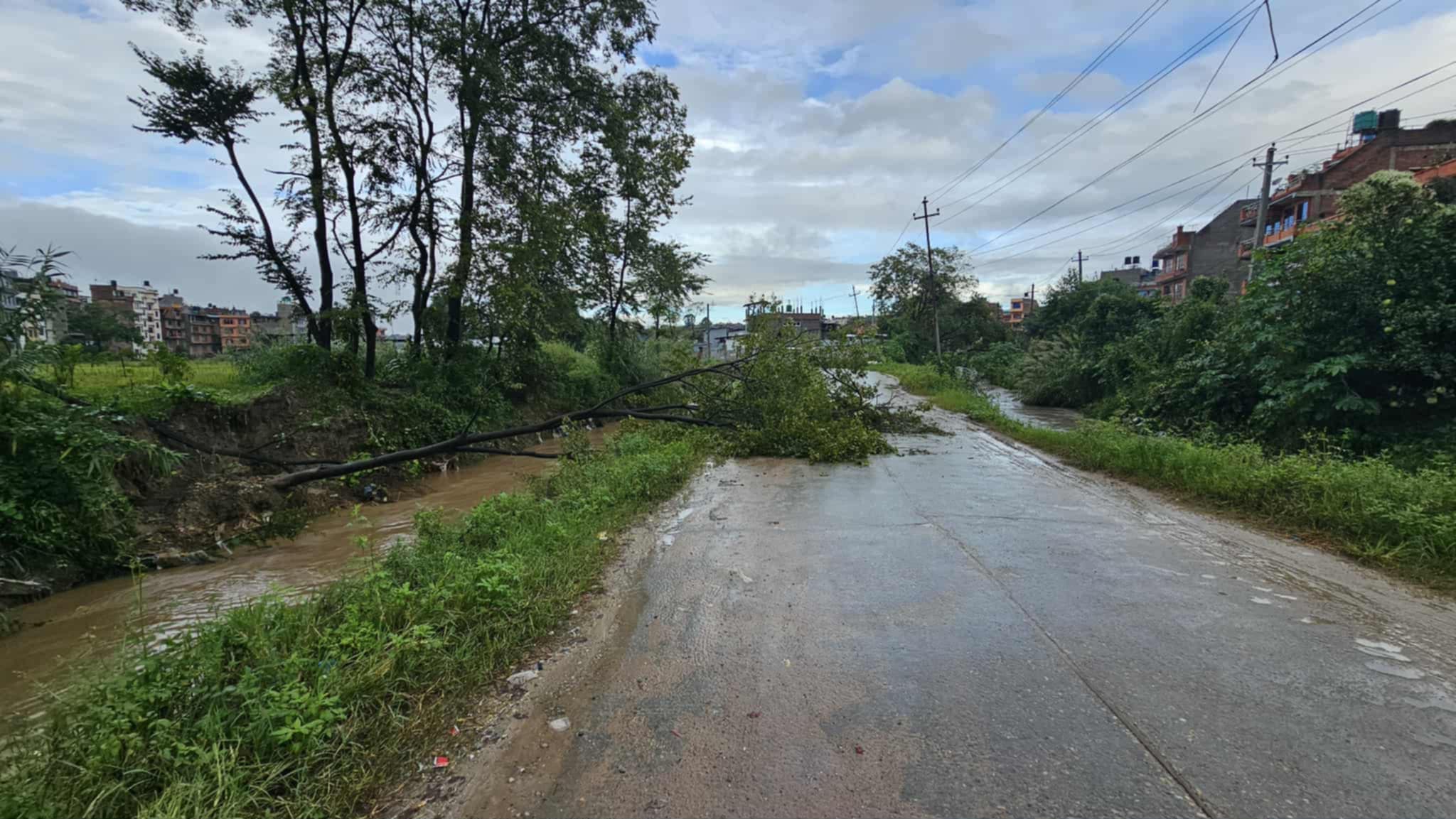 अविरल वर्षाले हनुमानचामा विजोगः सरोकारवालाको ध्यानाकर्षण होस्
