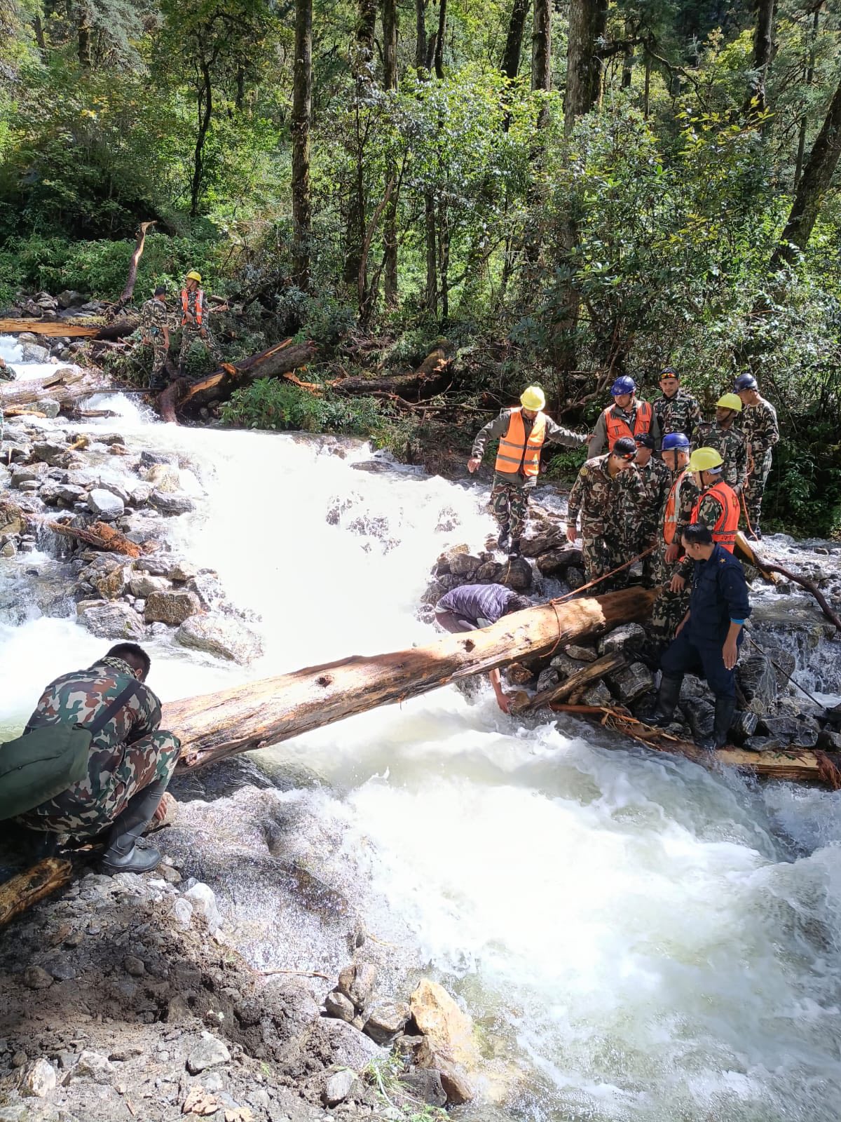 लाङटाङमा ट्रेकिङ जाँदा बाढी-पहिरोका कारण फसेका १२ जनालाई सुरक्षाकर्मीले स्याफ्रुबेशी ल्याए