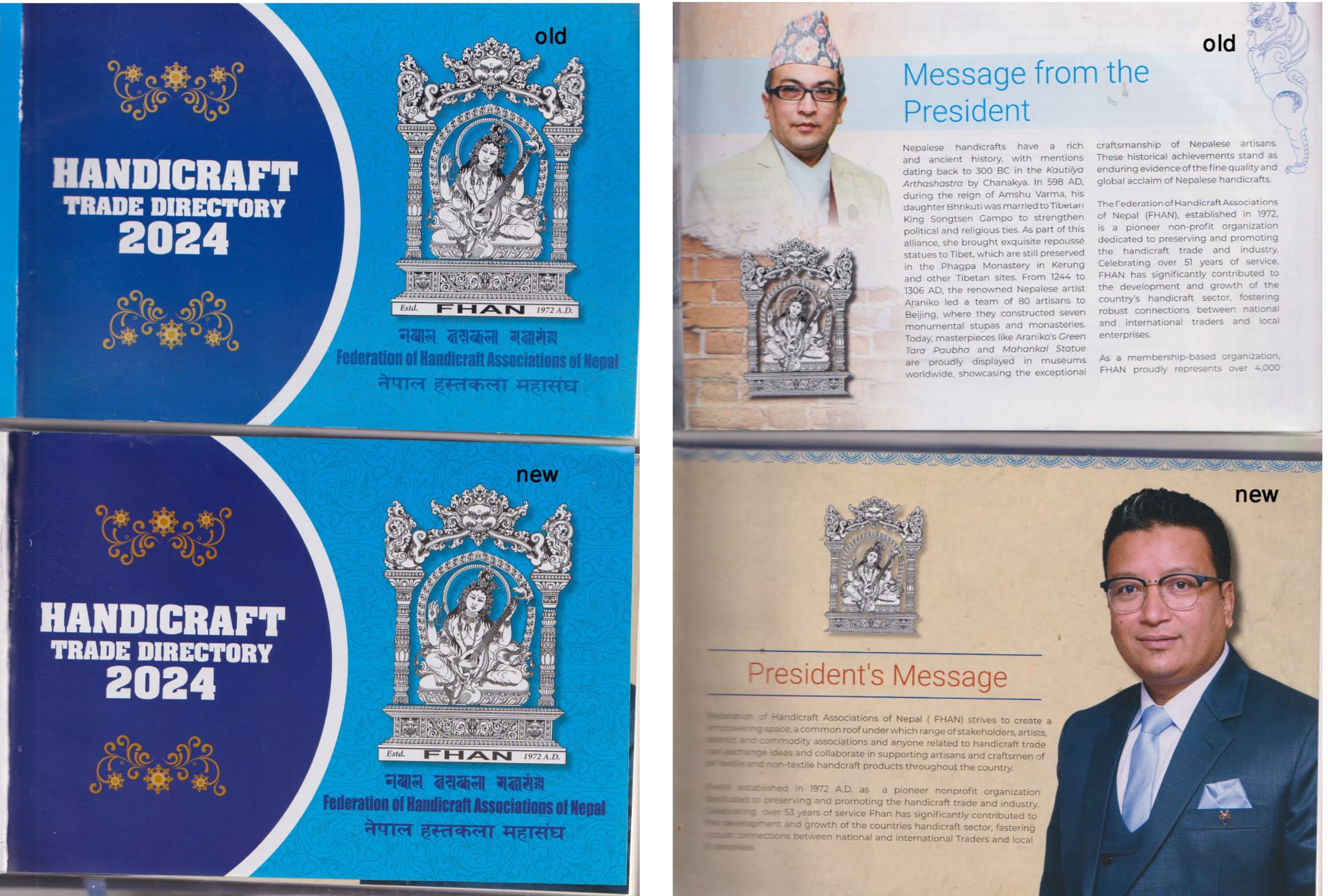 संस्थागत त्रुटि — कहाँ चुक्यो महासंघ?