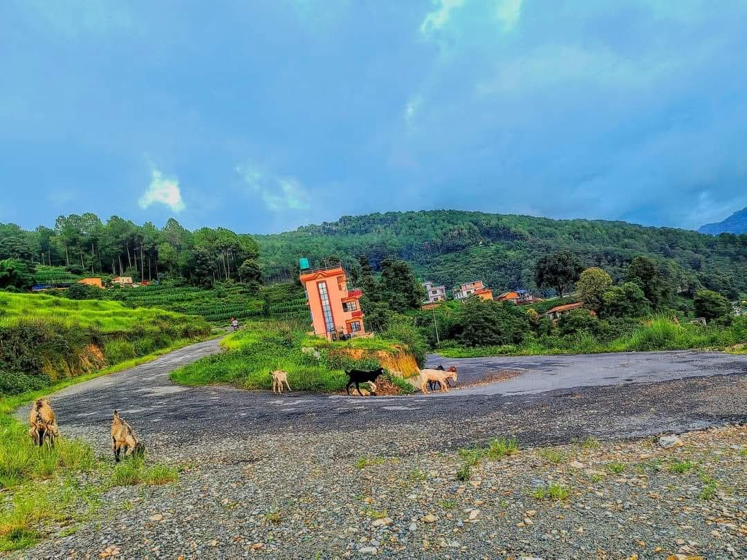 ताथली गढी र हलालगाउँ सिँढी : आन्तरिक पर्यटकको रोजाइ