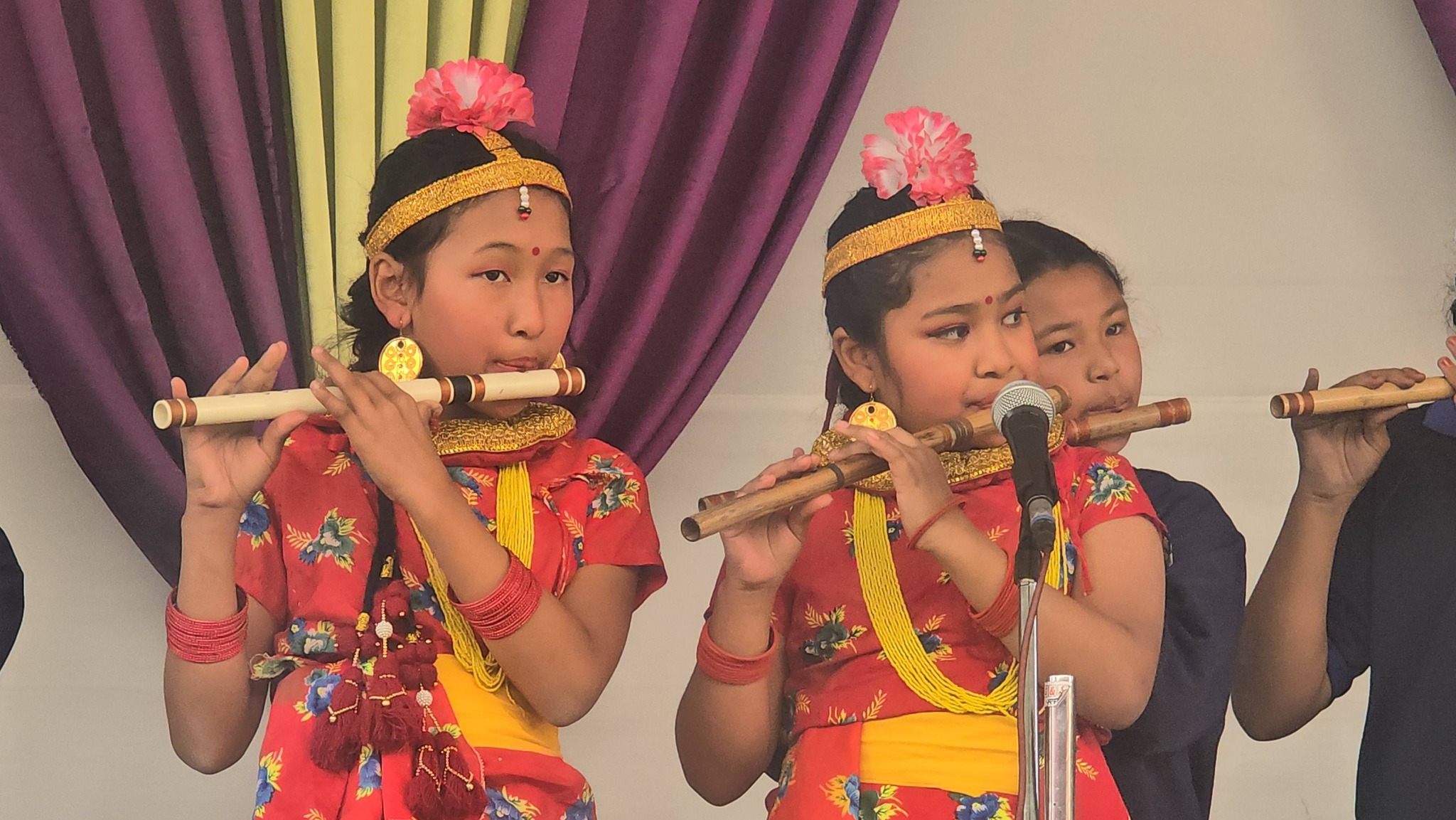 एभरेस्ट इङ्लिस स्कुलमा सांस्कृतिक कार्यक्रम सम्पन्न