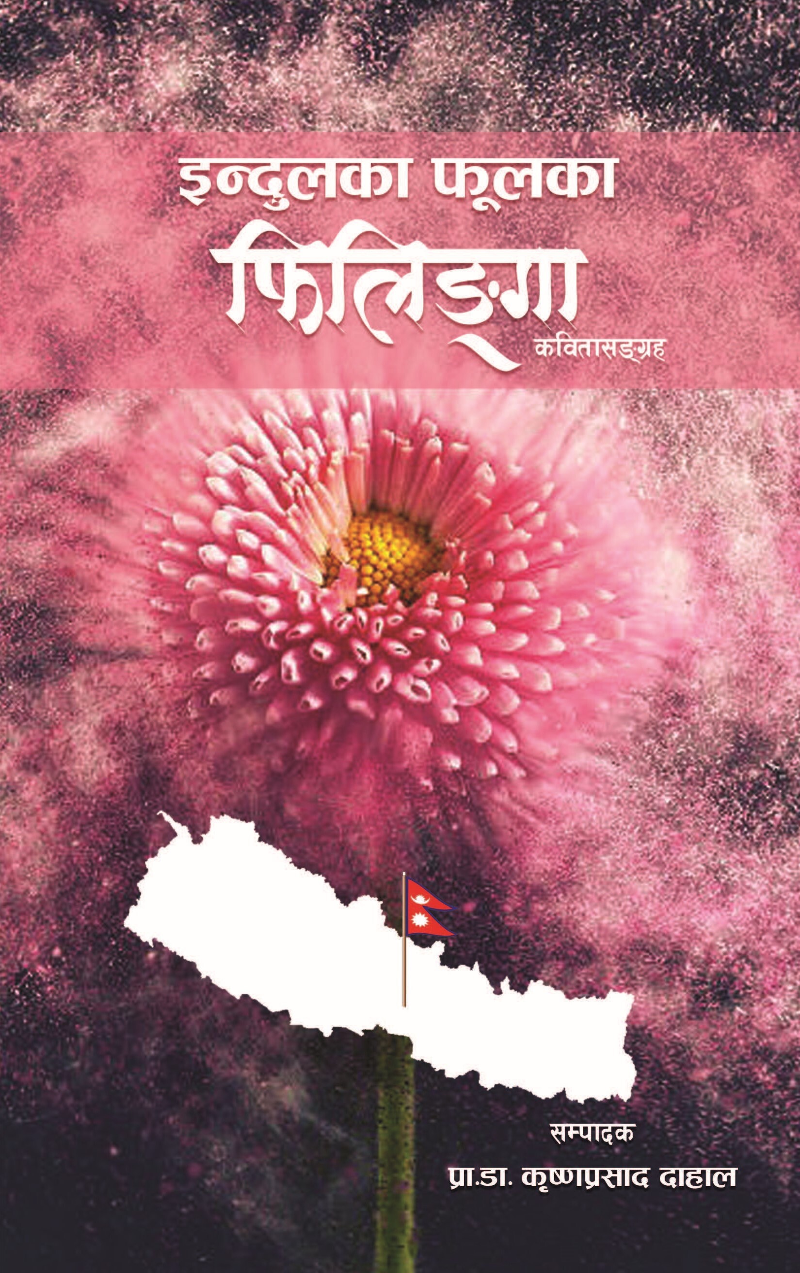 डा. इन्दुलका फूलका फिलिङ्गामा आँखा लगाउँदा