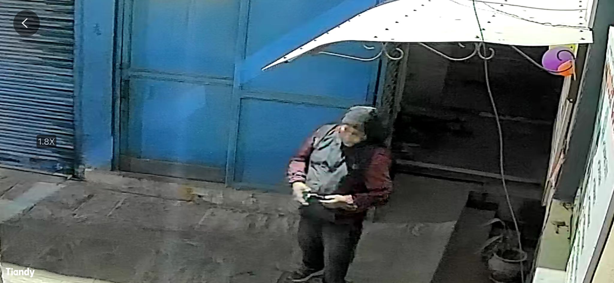 शैक्षिक परामर्श केन्द्र योर्क एजुकेसन कन्सल्टेन्सीमा चोरी