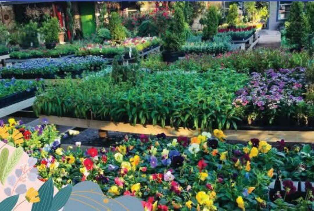 भृकुटीमण्डपमा ५ दिने तेस्रो नेशनल हर्टिकल्चर एक्स्पो हुँदै