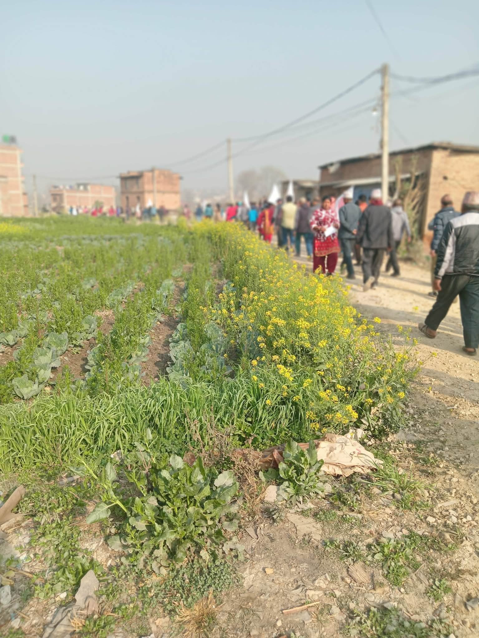 नेमकिपाको चुनाव प्रचारप्रसार तस्वीरहरुमा