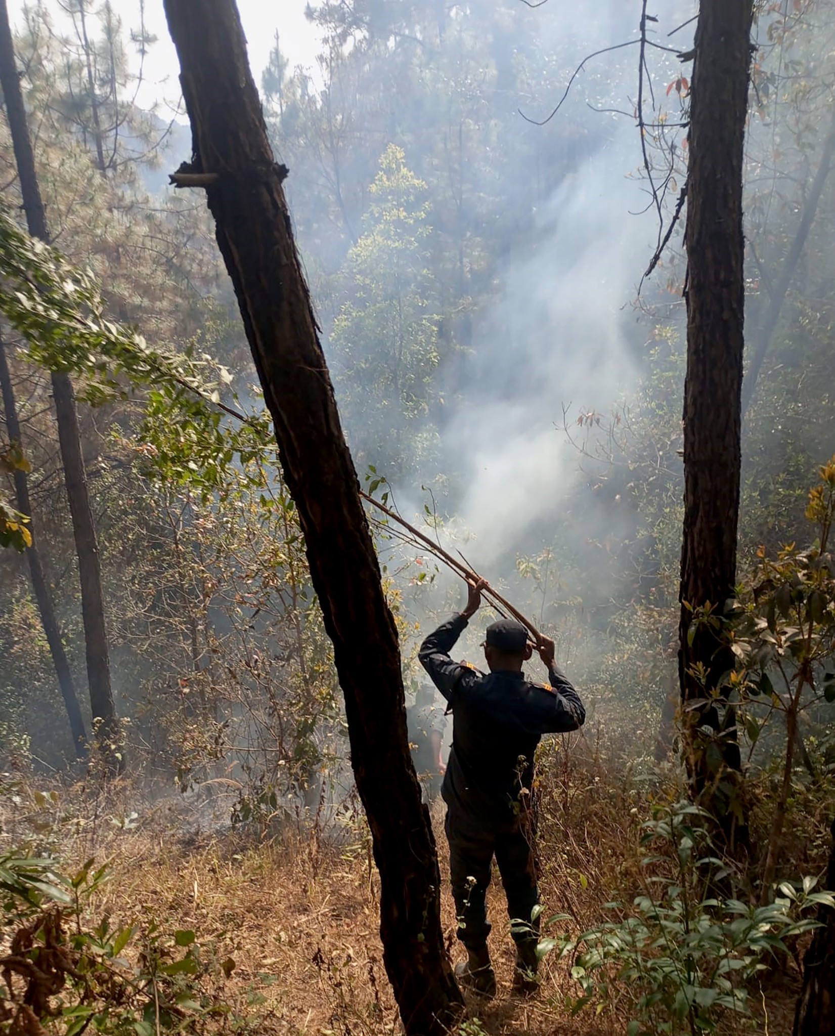 चाँगुनारायण नगरपालिकाका दुई स्थानमा डढेलो