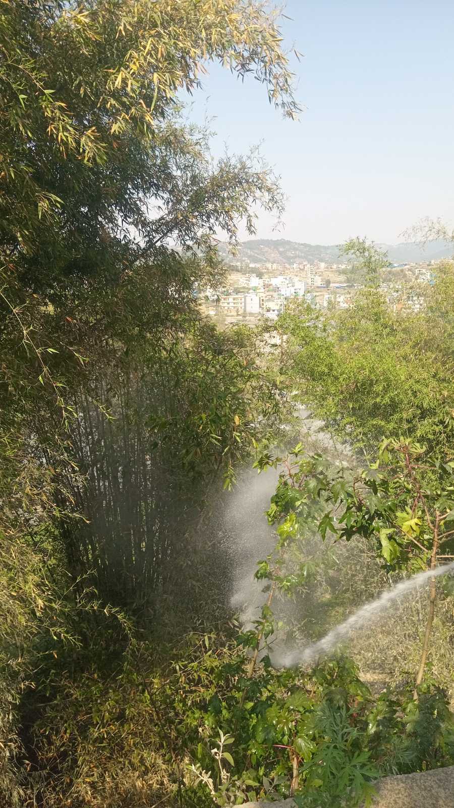 भक्तपुर बाँसघारीमा आगलागी