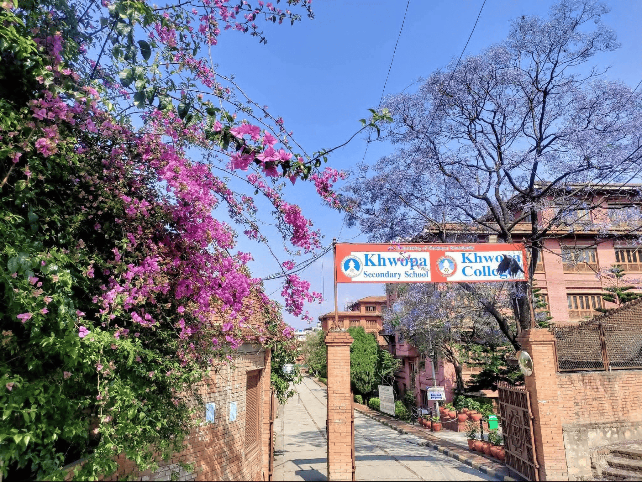 ख्वपमा पहिलो पटकमै दिए तीन हजार विद्यार्थीले प्रवेश परीक्षा