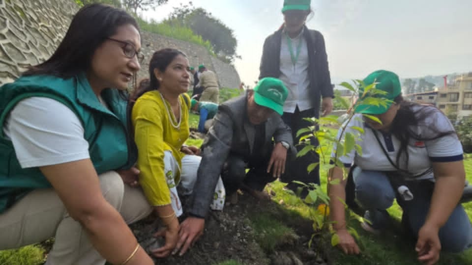 कमेरोटार जग्गा एकीकरण आयोजनामा वृक्षरोपण