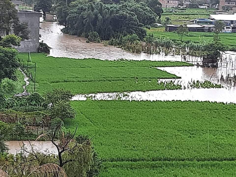 भक्तपुर डुबानमा