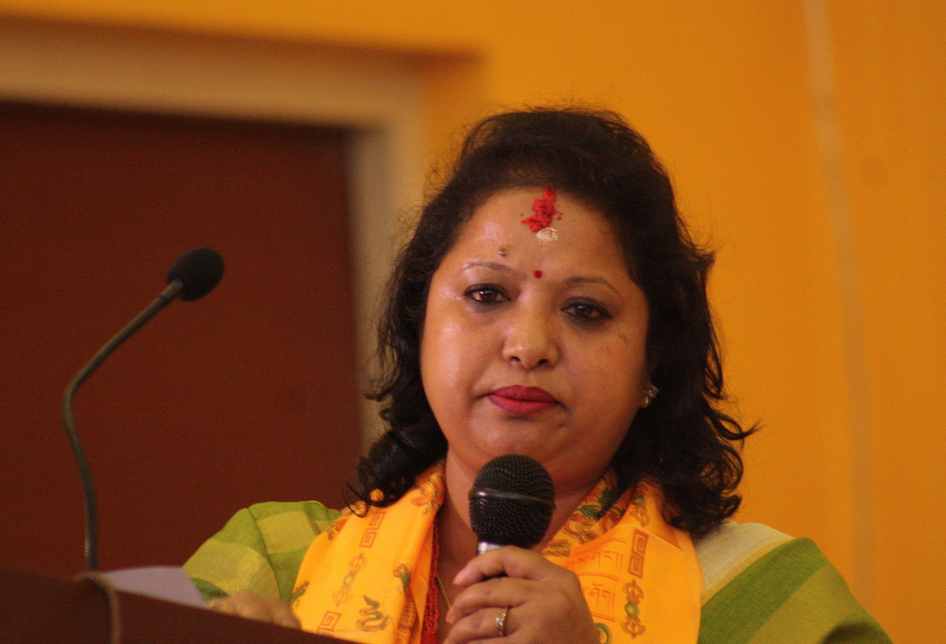 मेयर शाक्य र उपमेयर खड्गी श्रेष्ठ सम्मानित 