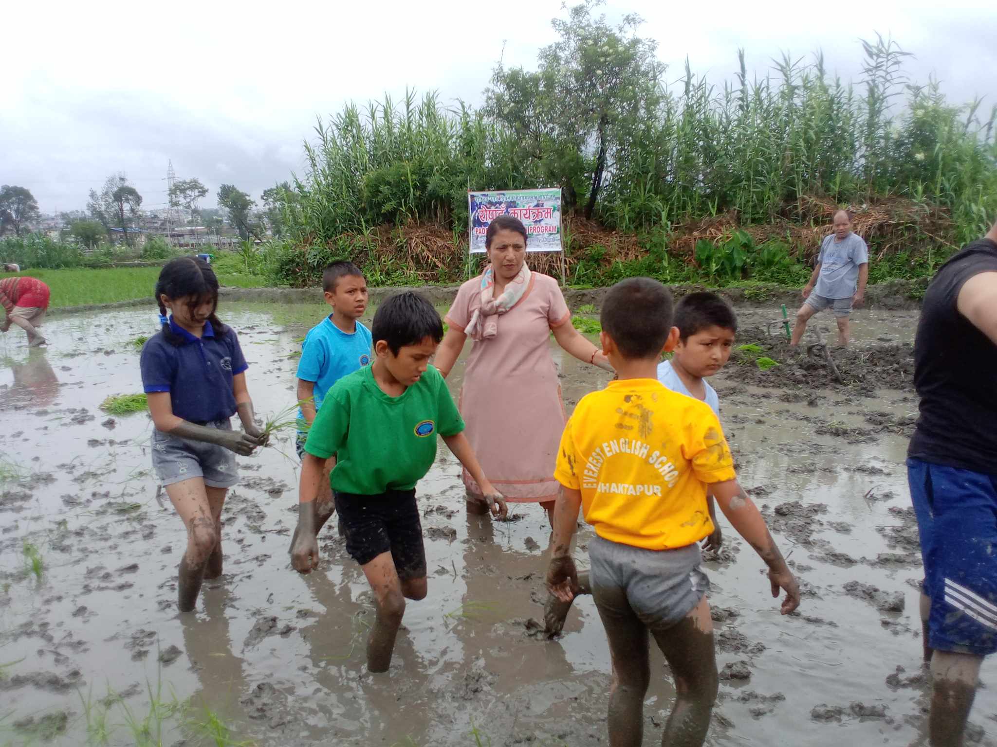 रोपाईमा रमाए भक्तपुरको एभरेस्ट स्कुलका विद्यार्थी