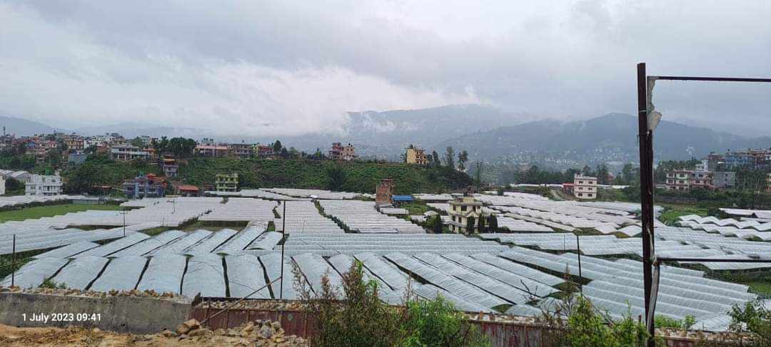 एकाविहानै भक्तपुरका सिडिओ खेतबारीतिर