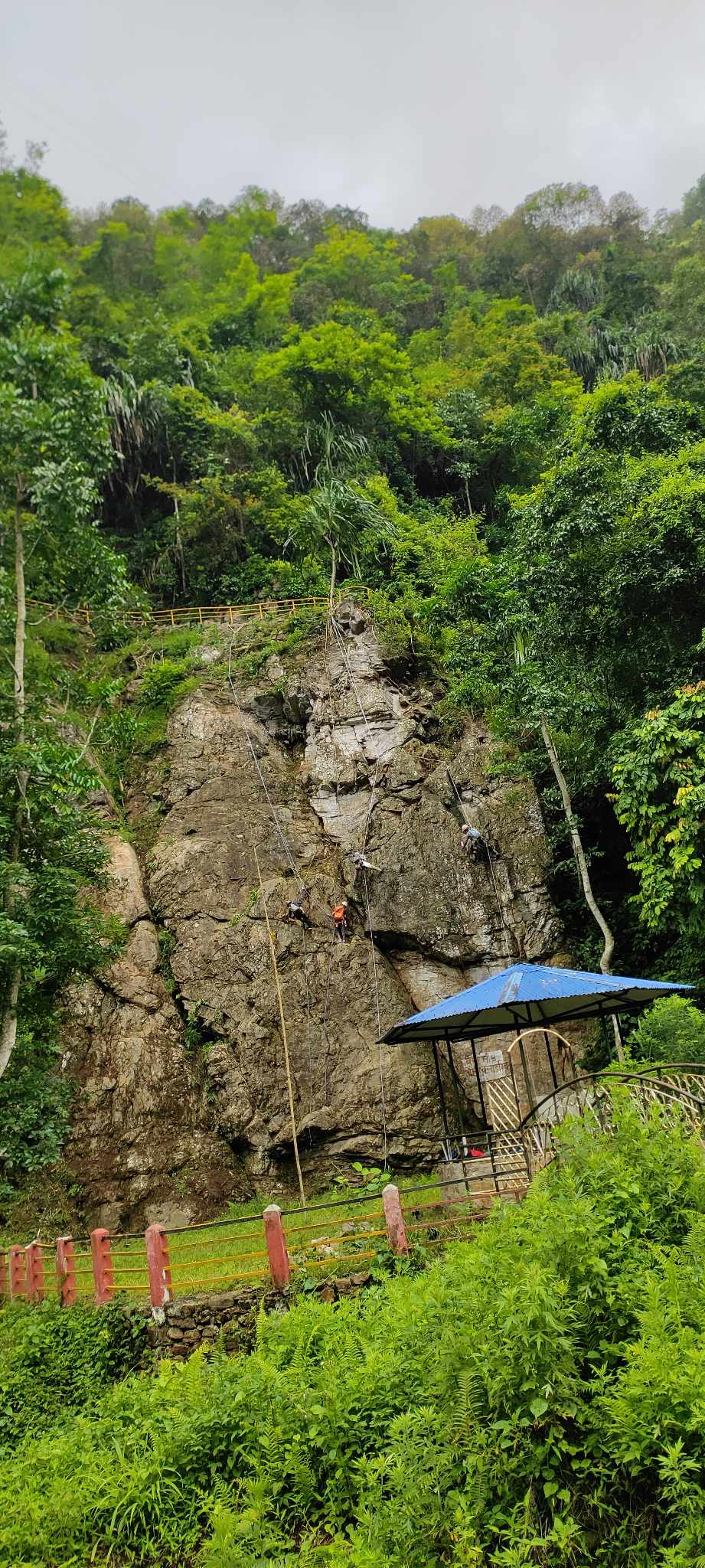 इलाम नगरपालिका वडा नम्बर ८ मा रहेको महभीर चटानमा आरोहणको रुट वढाउने कार्य सुरु(फोटो फिचर)