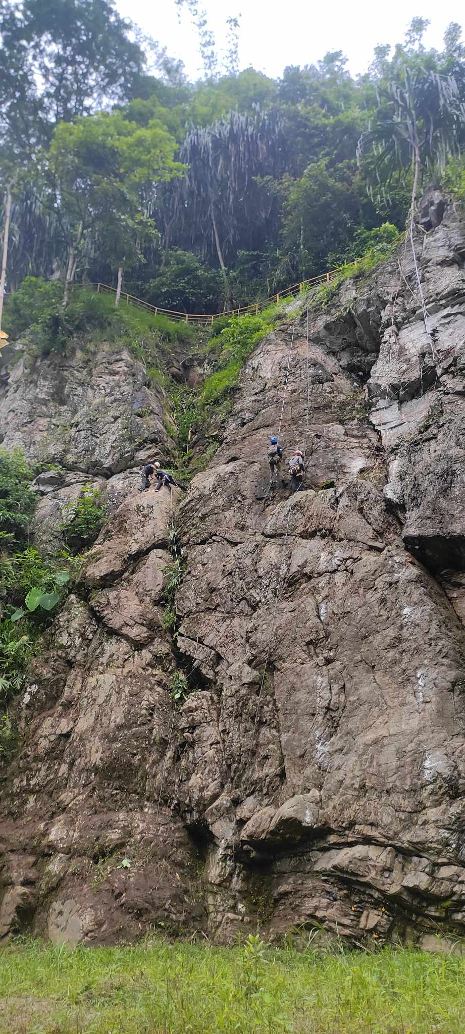 इलाम नगरपालिका वडा नम्बर ८ मा रहेको महभीर चटानमा आरोहणको रुट वढाउने कार्य सुरु(फोटो फिचर)