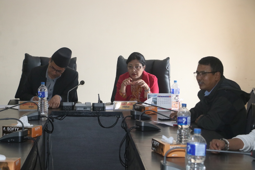 गाईजात्रा प्रदक्षिणा मार्ग र महत्वपूर्ण स्थानहरुमा तारहरु तोकिएको समयभित्र नहटाएमा नगरपालिका स्वयम्ले हटाउने