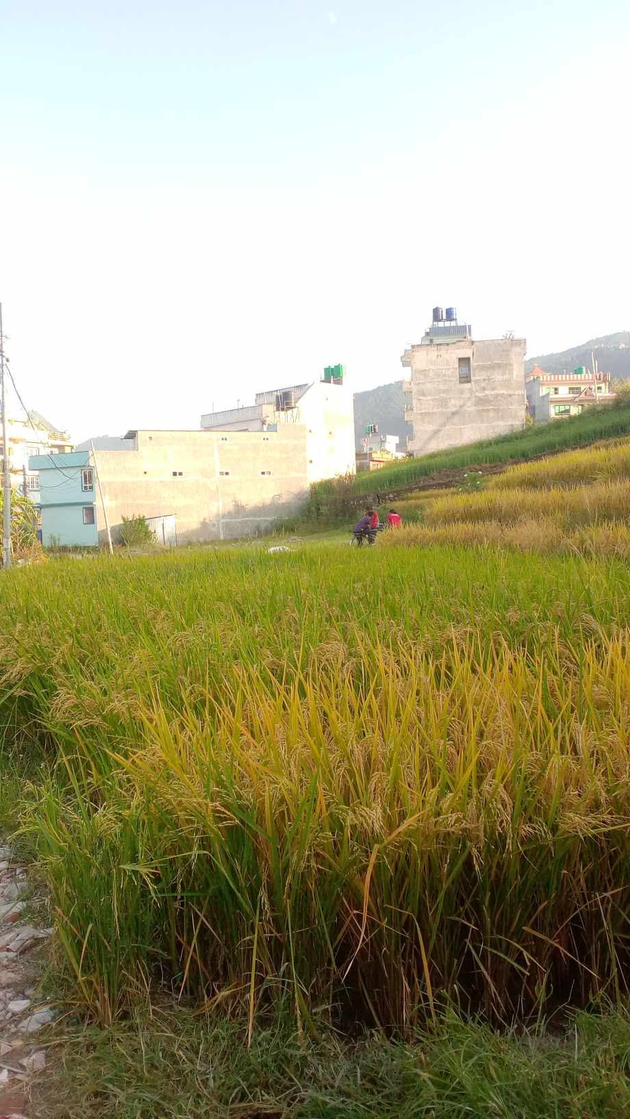 अव यता पो जाने कि ?