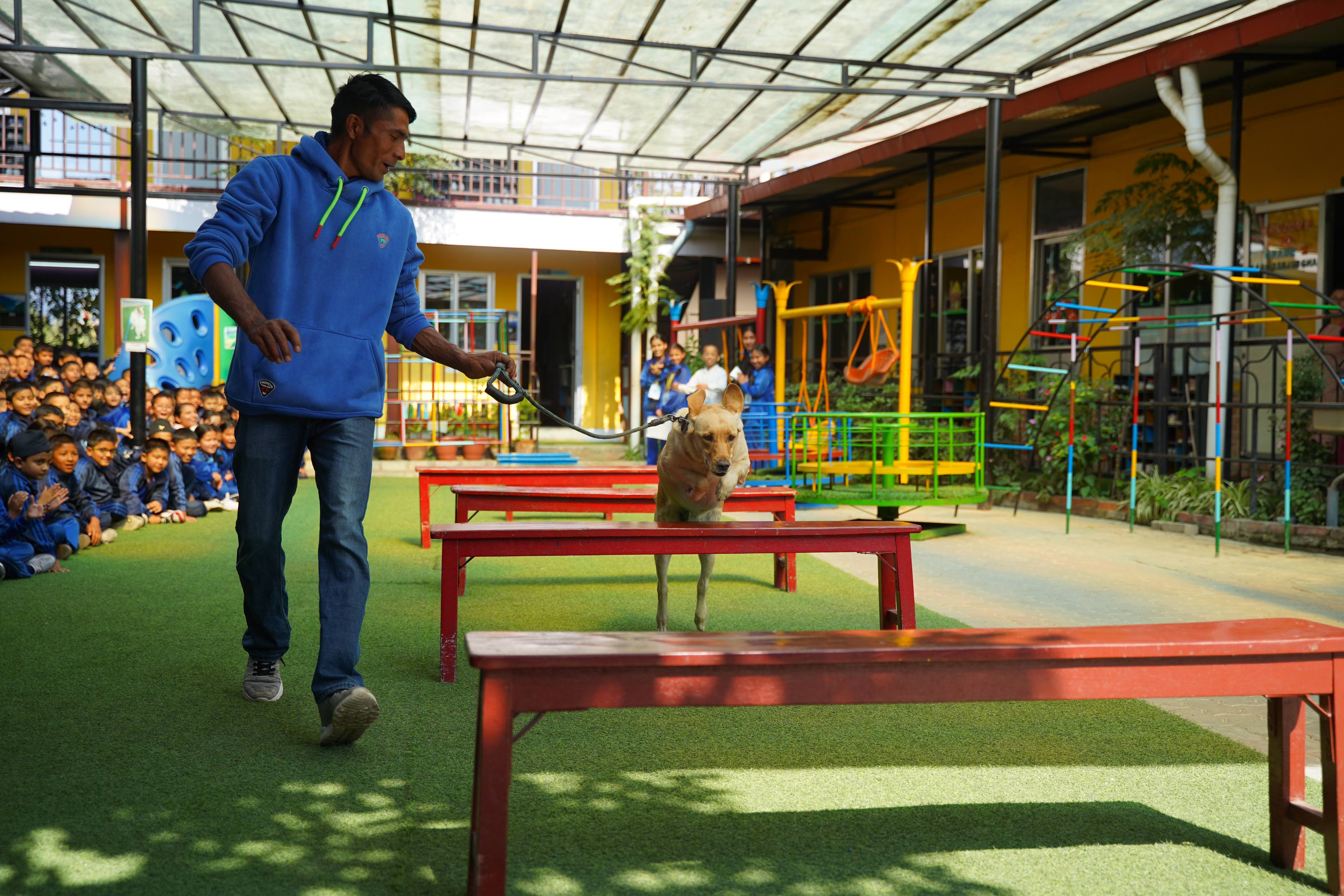 एभरेस्ट स्कुलका विद्यार्थीले गरे कुकुर तिहार