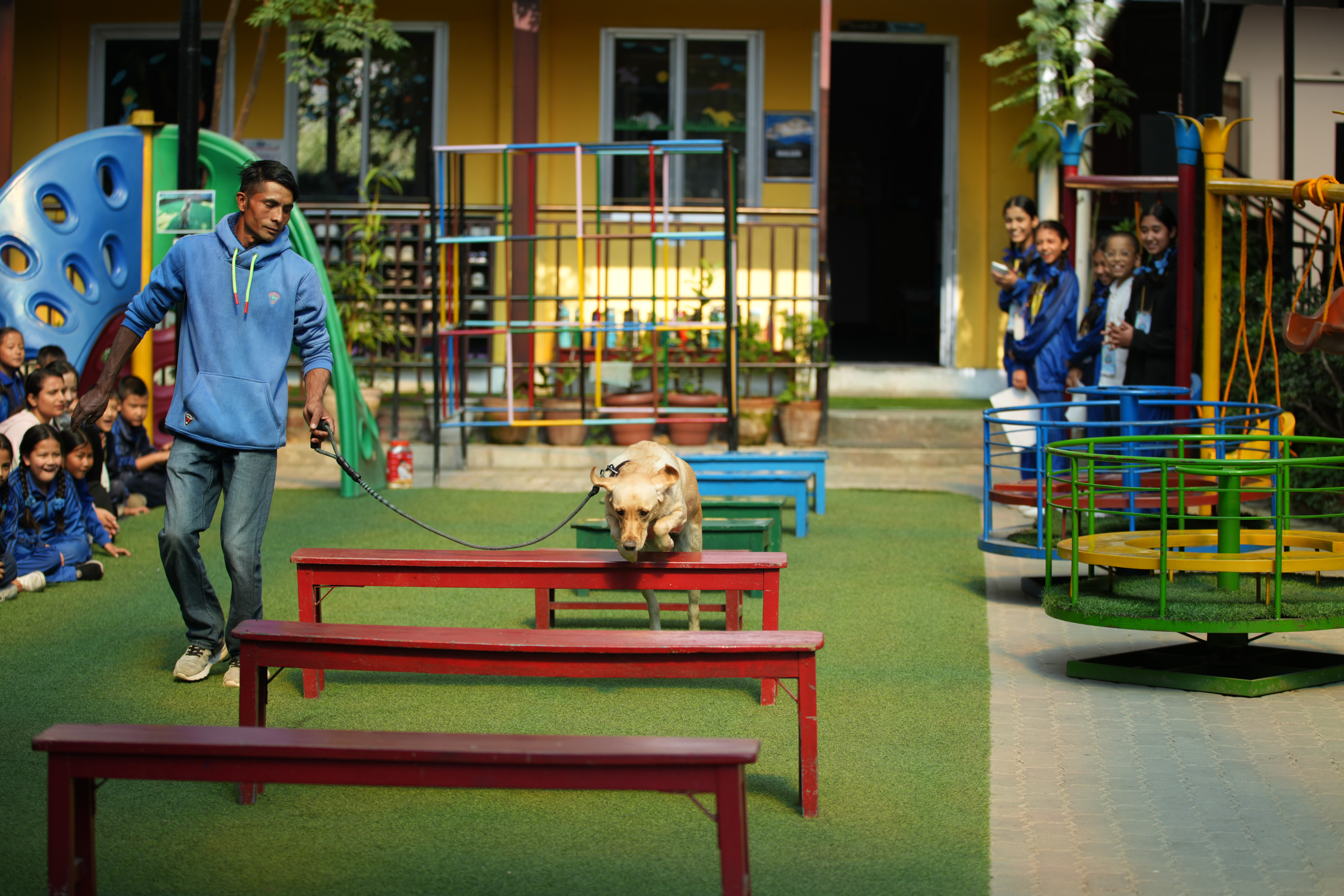 एभरेस्ट स्कुलका विद्यार्थीले गरे कुकुर तिहार