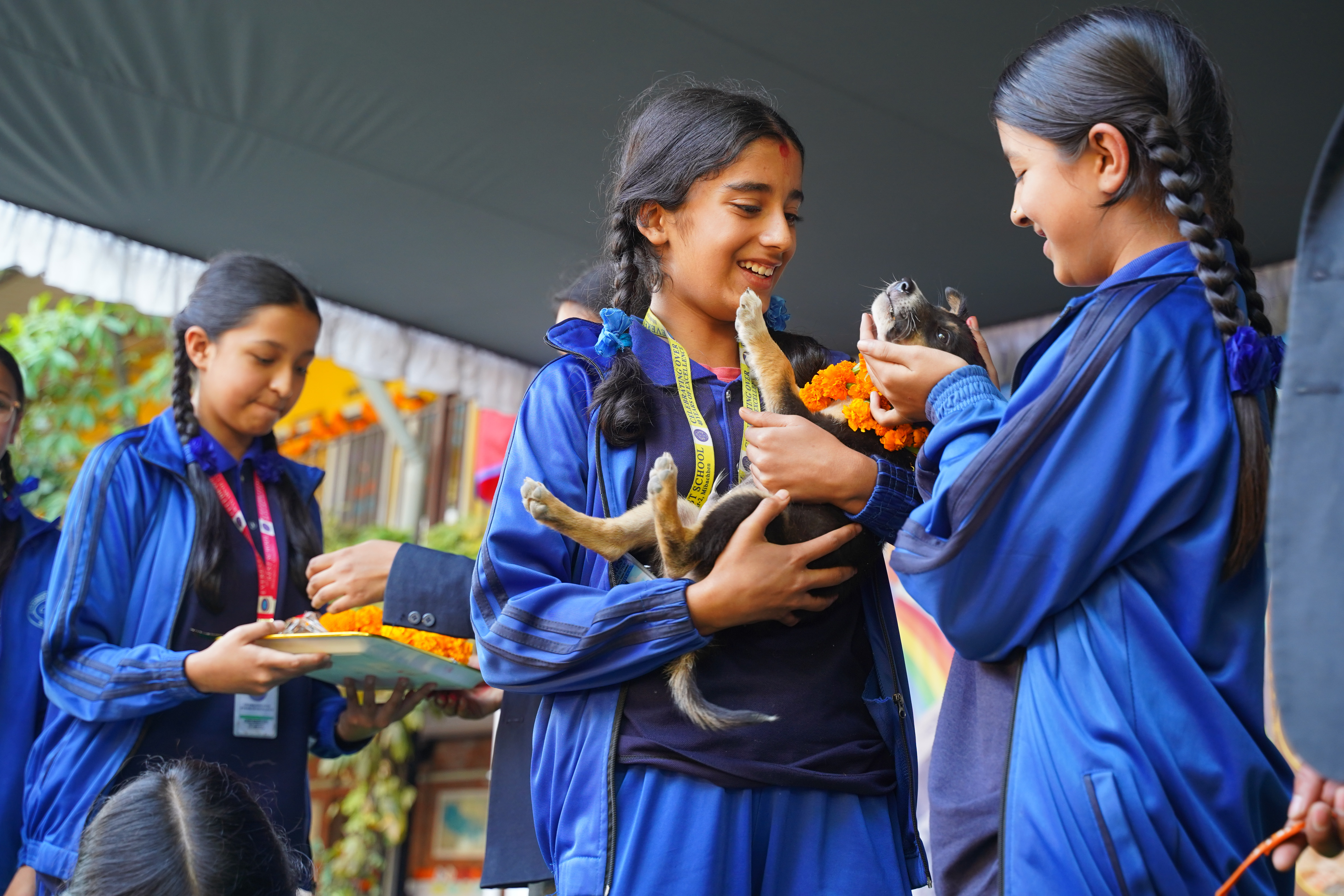 एभरेस्ट स्कुलका विद्यार्थीले गरे कुकुर तिहार