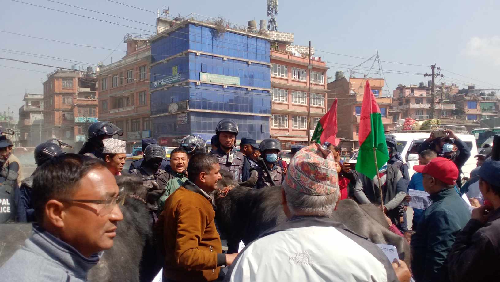 जव भक्तपुरका सडकमा भैँंसी भेटिए .....(तस्वीरहरुसहित) 