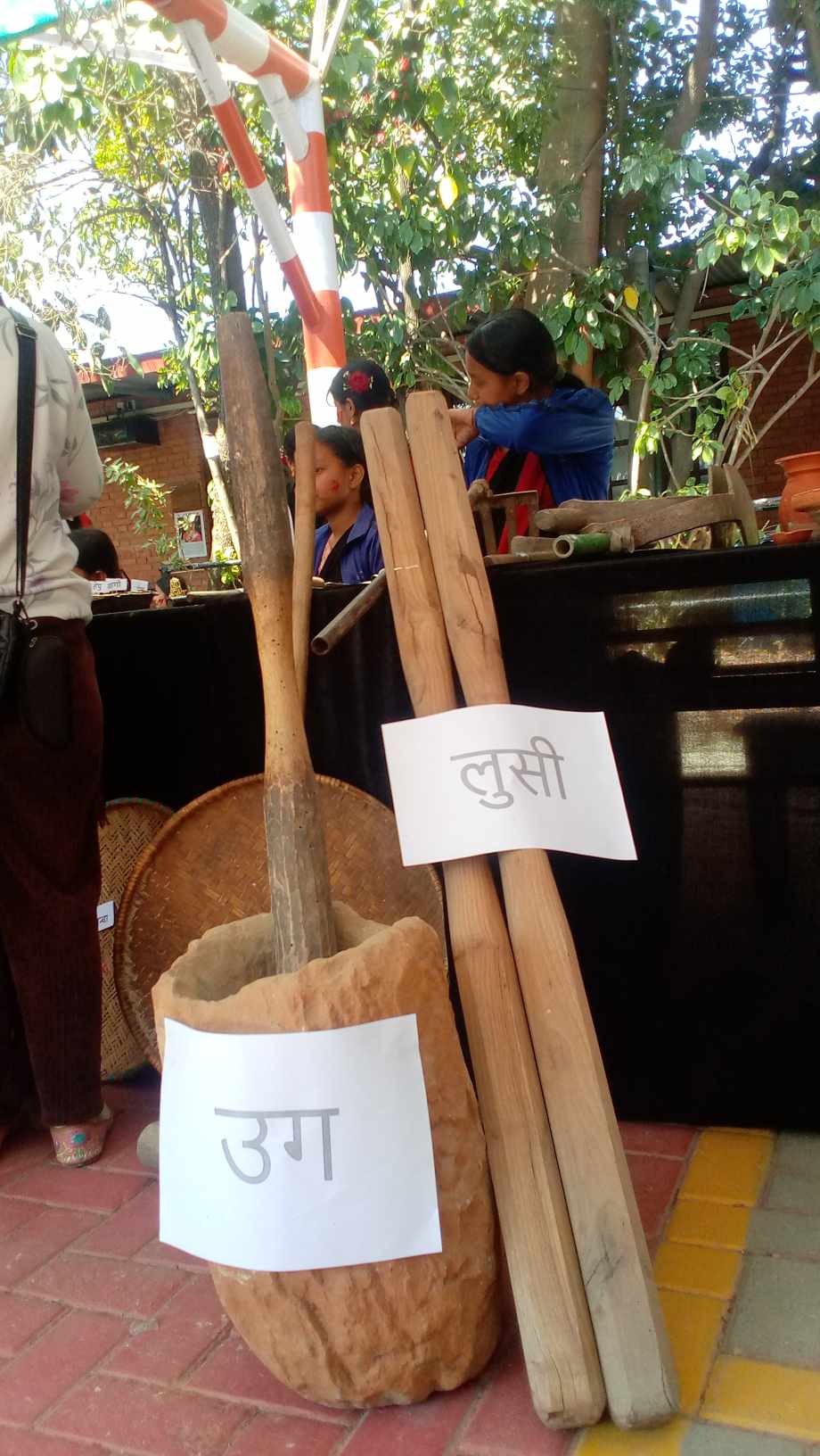 एभरेस्टमा बृहत ख्वपको पहिचानको प्रदर्शनी 