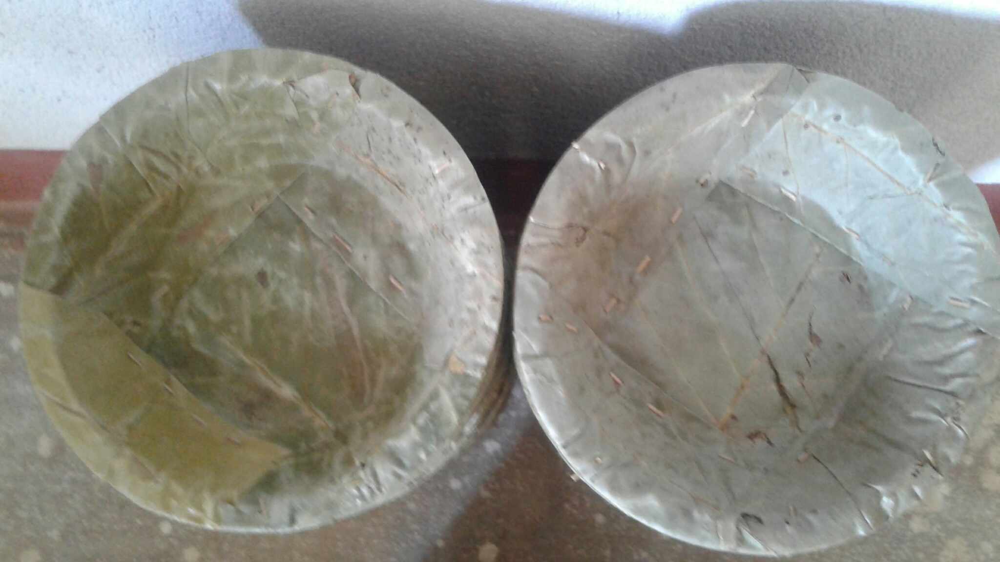 दुना टपरी उद्यममा मस्त शारदाप्रसाद चालिसे