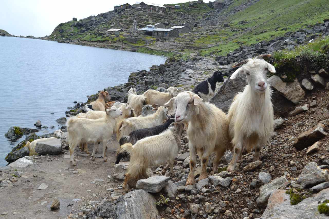 २० वर्षदेखिको लाङटाङ तस्वीरहरुमा (फोटो कथा)