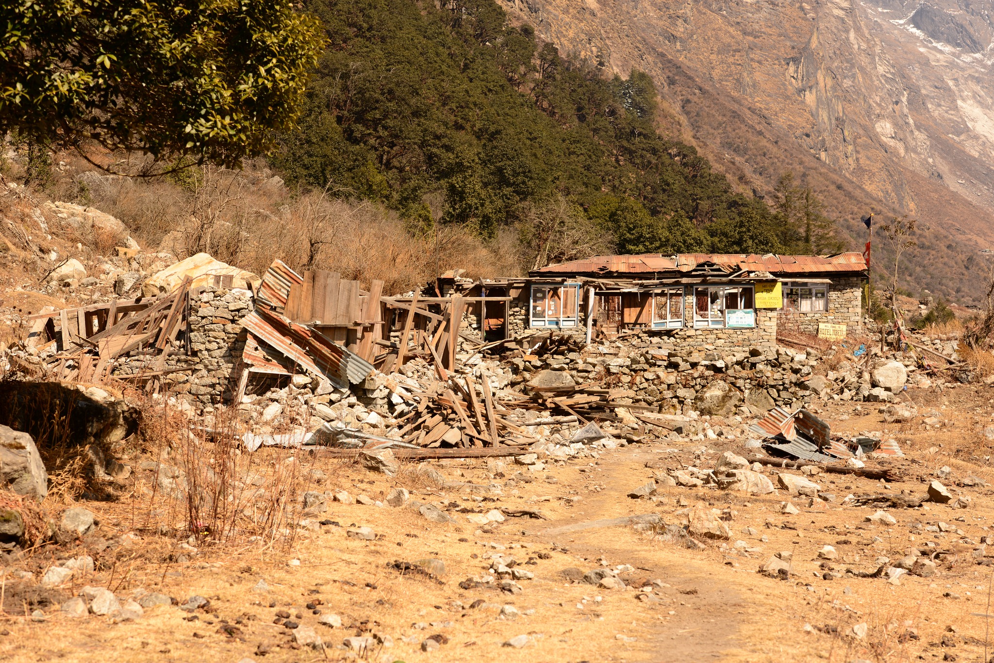 सकियो “दुई दशकमा लाङटाङ ः प्रकृति, विविधता, भुकम्प, र जीवन” बारेको फोटो प्रदर्शनी 