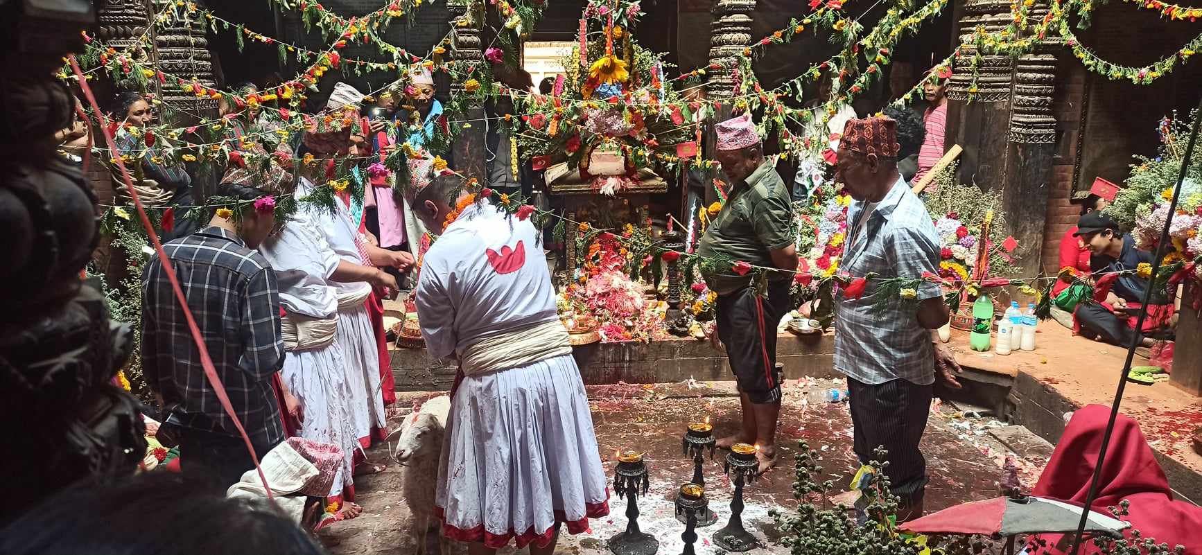 भोलि नवदुर्गा देवगणको देवाली पुजा (स्वं छा )