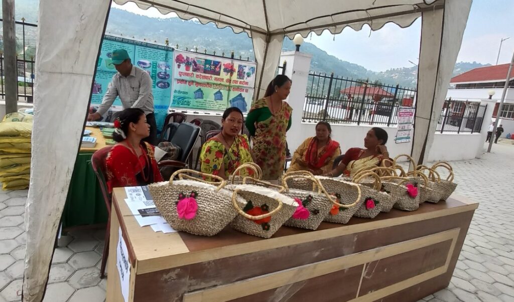वातावरण दिवसमा हरित प्रदर्शनी