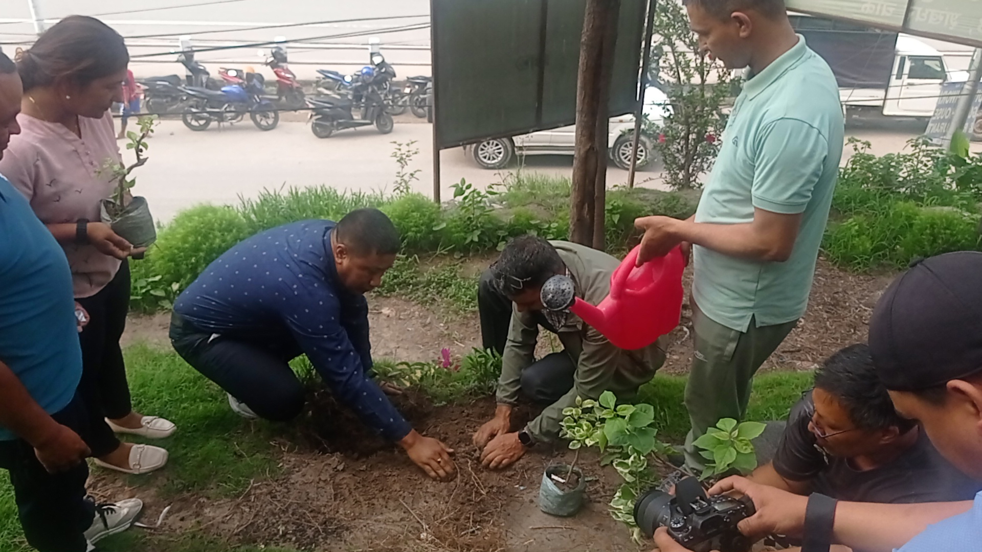 राष्ट्रिय वन दिवस वृक्षरोपण गरी मनाइयो
