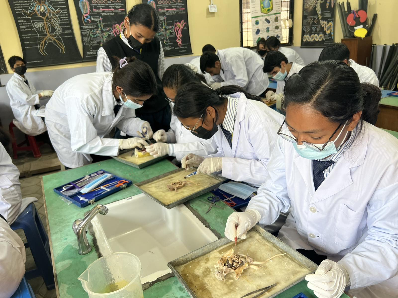 यस्तो छ एस.एस.को १७ वर्षे यात्रा