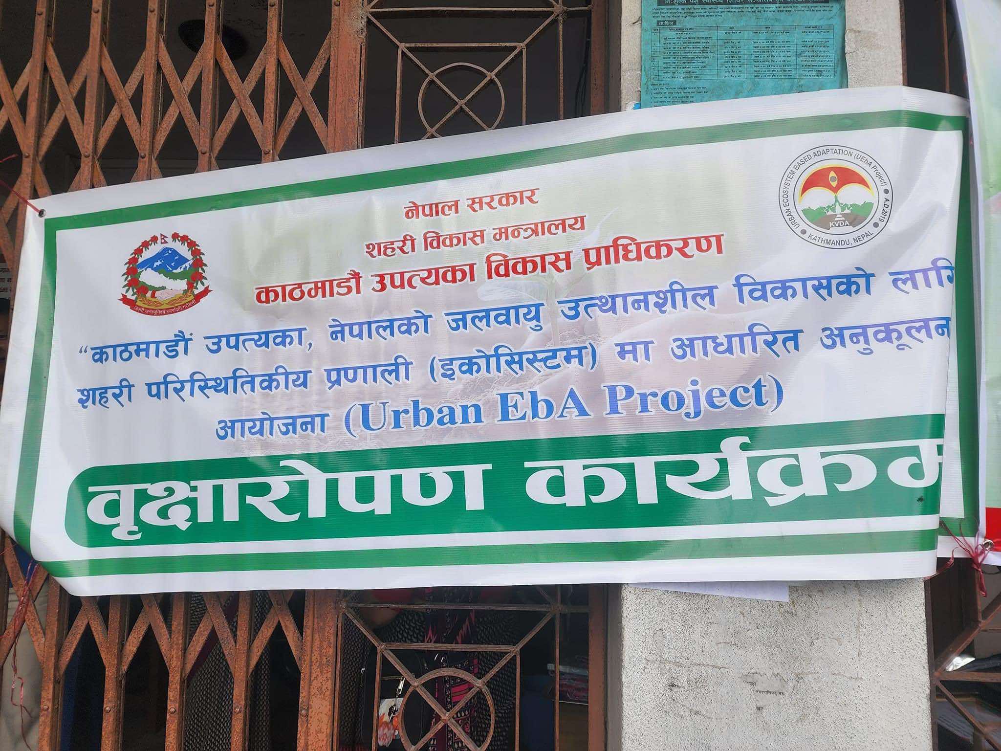कासन झोखेल सडकका दायाँंबायाँं गरियो बृक्षारोपण