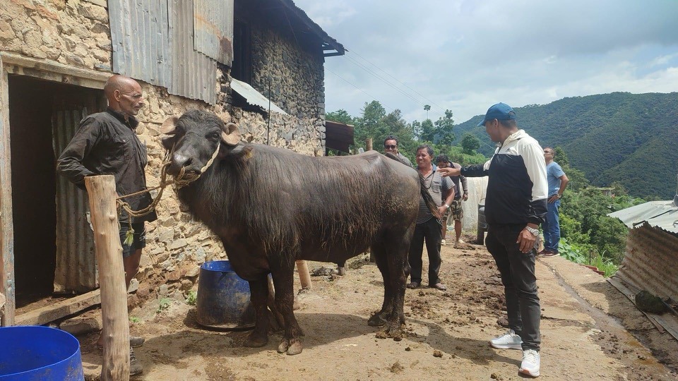 यी छानिए २०८१ सालका लागि खम्ये ः २१ गते मन्दिर भित्राइने 