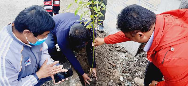 कमलविनायक आवास क्षेत्रमा बृक्षारोपण