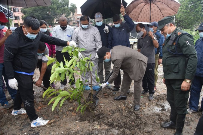 बर्खामा विरुवा रोप्ने अभियान सुरु