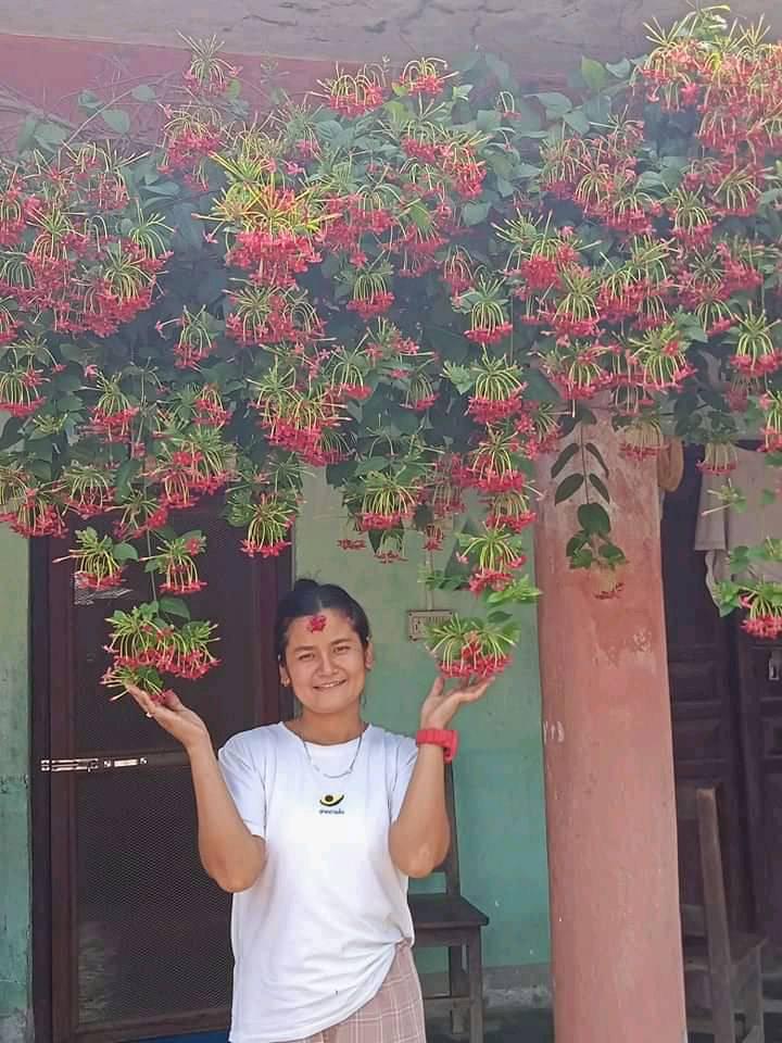 के आत्महत्या समस्याको समाधान हो ?