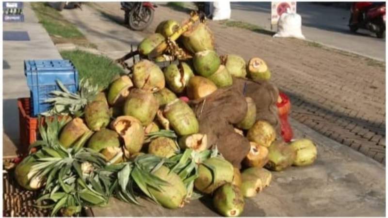 व्यासको फोहोर बुधबारबाट उठ्ने, बेल्बासमा व्यवस्थापन गर्ने तयारी   