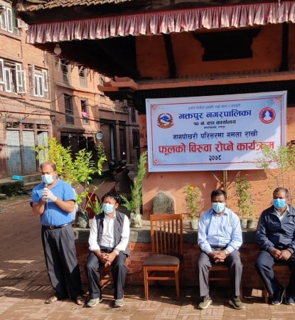 नागपोखरीमा रोपियो फुलको विरुवा