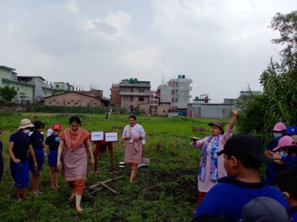 एभरेष्ट स्कुलका विद्यार्थीले राखे धान रोपाइका लागि बीउ