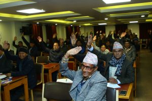 के के भयो नेमकिपाको केन्द्रिय परिषद् बैठकमा ?