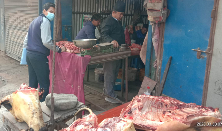 कमलबिनायक च्याम्हासिंहमा मासु पसल अनुगमन
