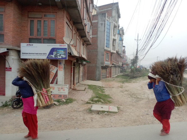 लौ आयो है कुचो