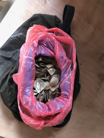 सालकको खपटासहित दुईजना पक्राउ 