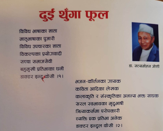 दुई थुंगा फूल 