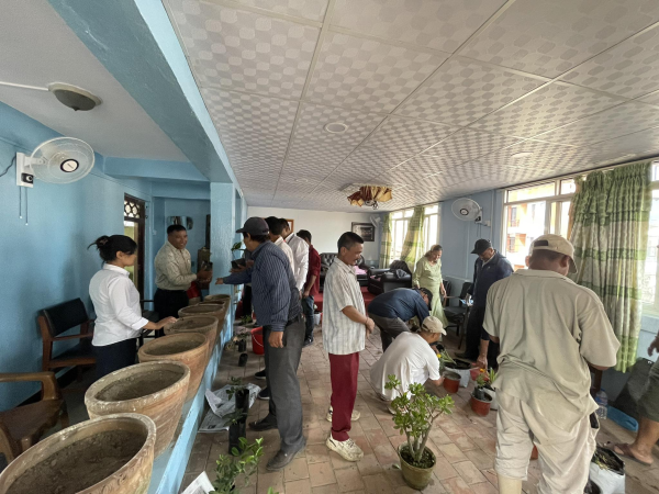 भनपा १० ले गरयो बृक्षारोपण